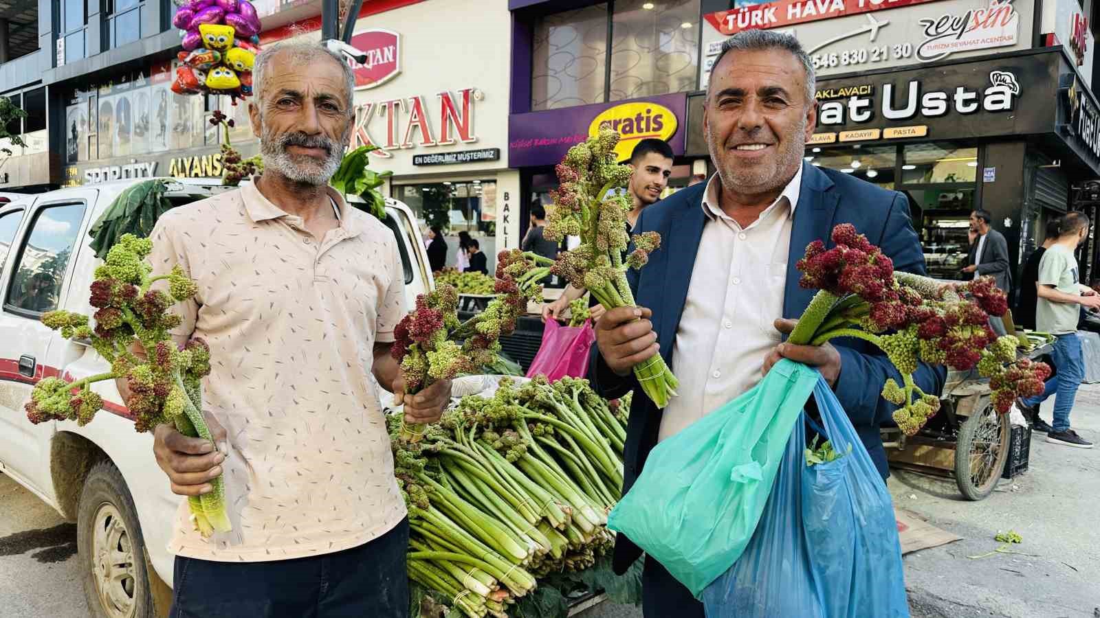 Y&uuml;ksekova dağlarının şifalı otları vatandaşın ge&ccedil;im kapısı oldu