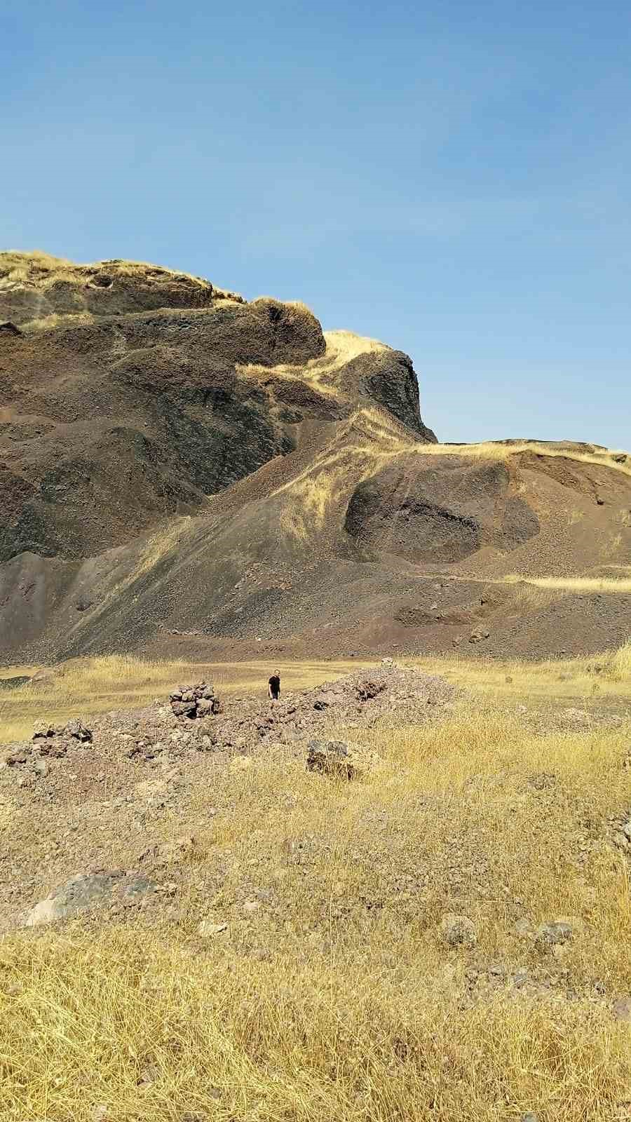 Mardin&rsquo;de &ccedil;ıkan anız yangını s&ouml;nd&uuml;r&uuml;ld&uuml;