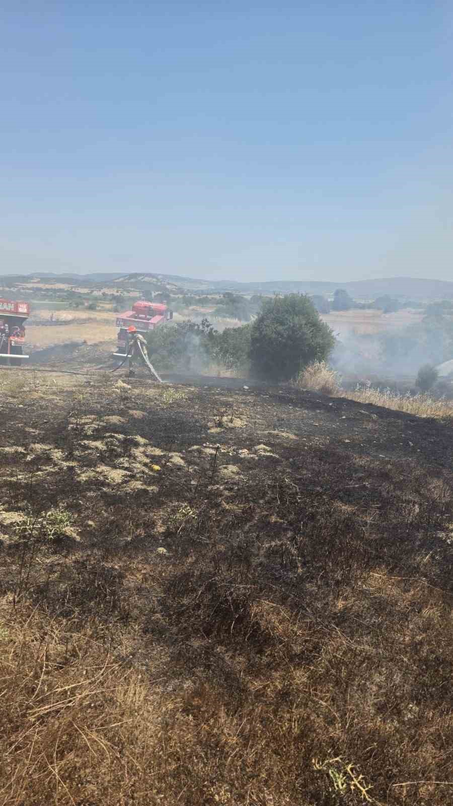 &Ccedil;anakkale&rsquo;deki yangında 10 d&ouml;n&uuml;m tarım arazisi zarar g&ouml;rd&uuml;