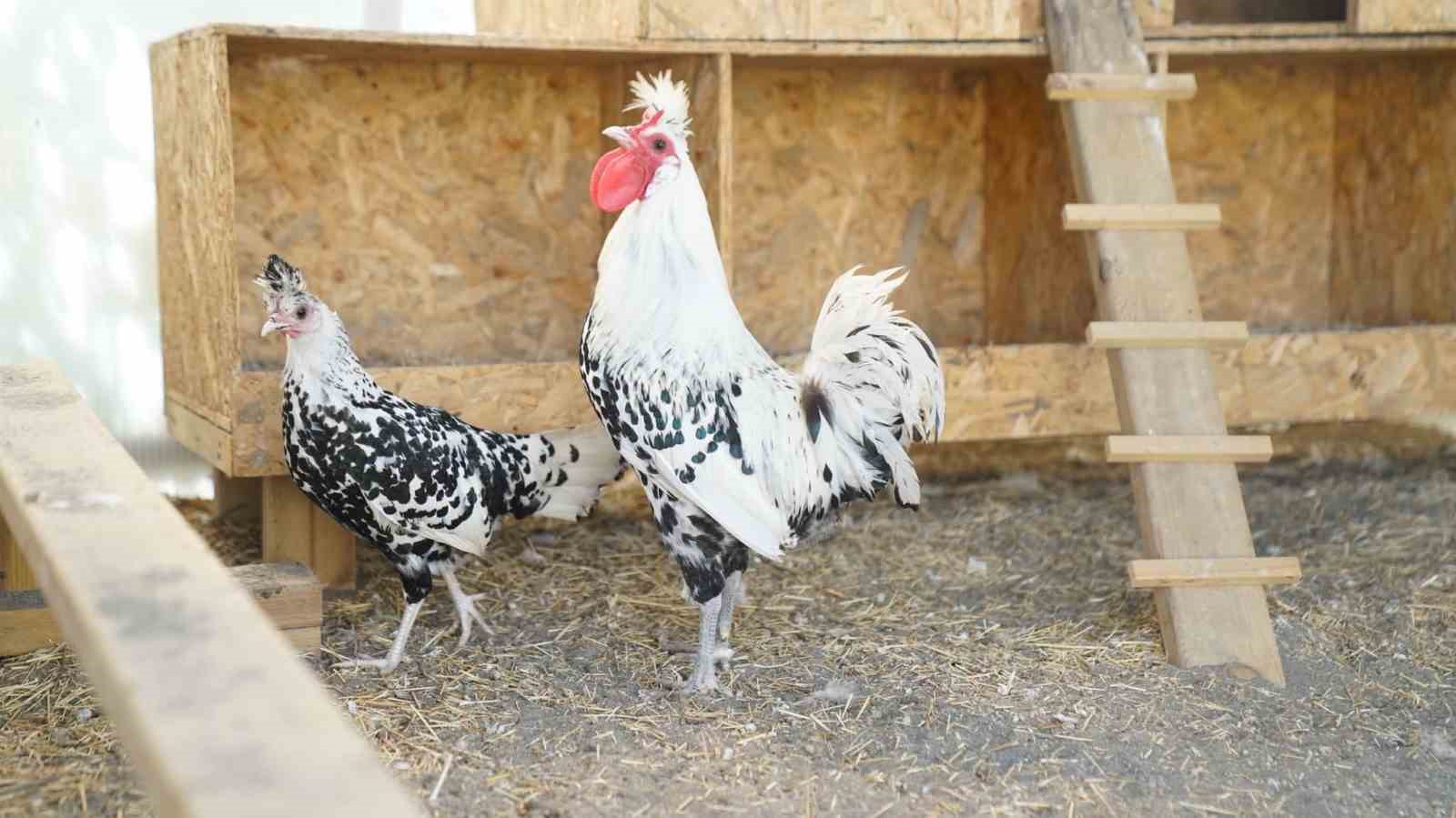 Terme&rsquo;de &rsquo;doğa&rsquo; sevgisi