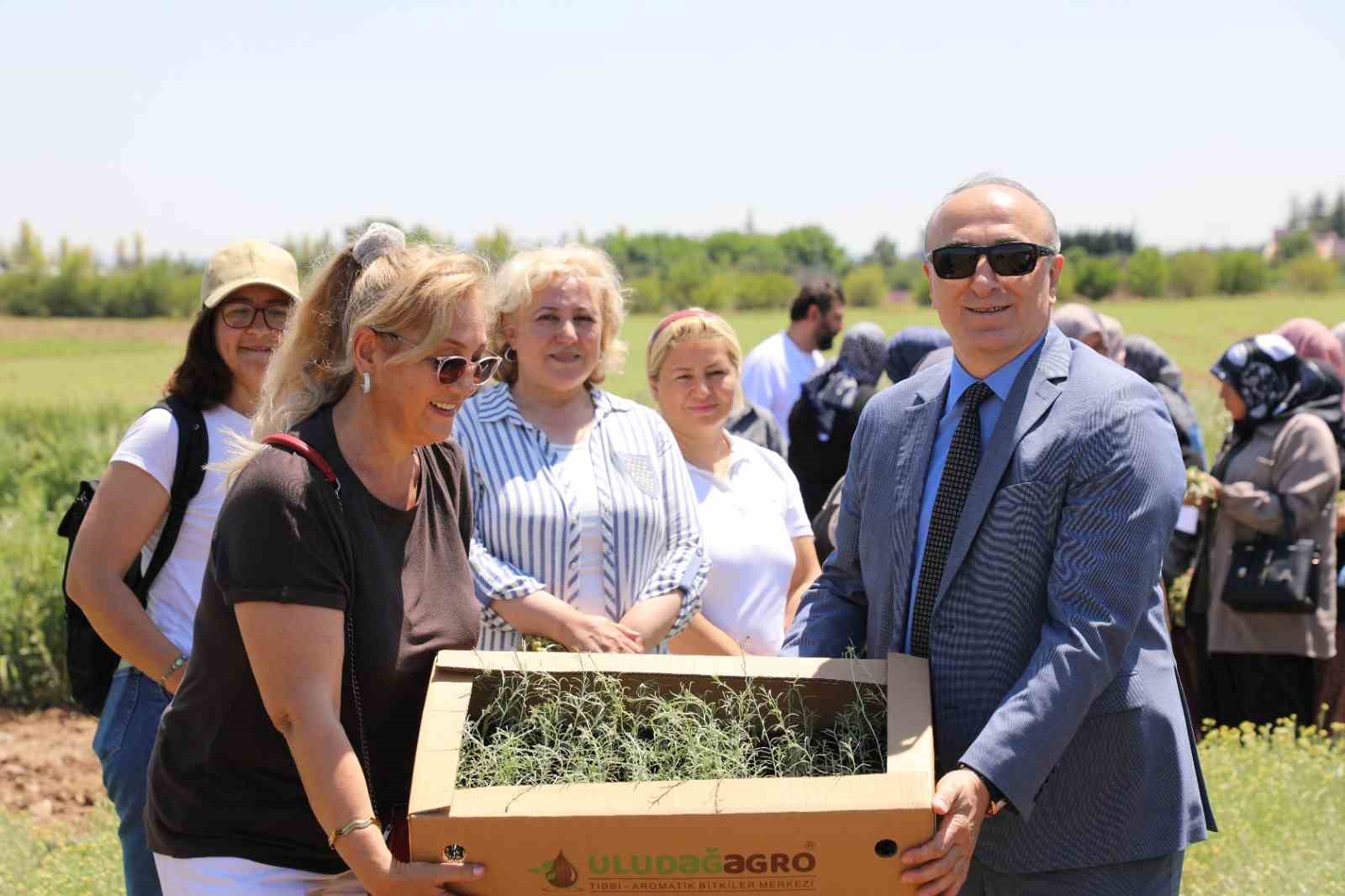 Bozkırların altın &ccedil;i&ccedil;eğinde hasat sevinci