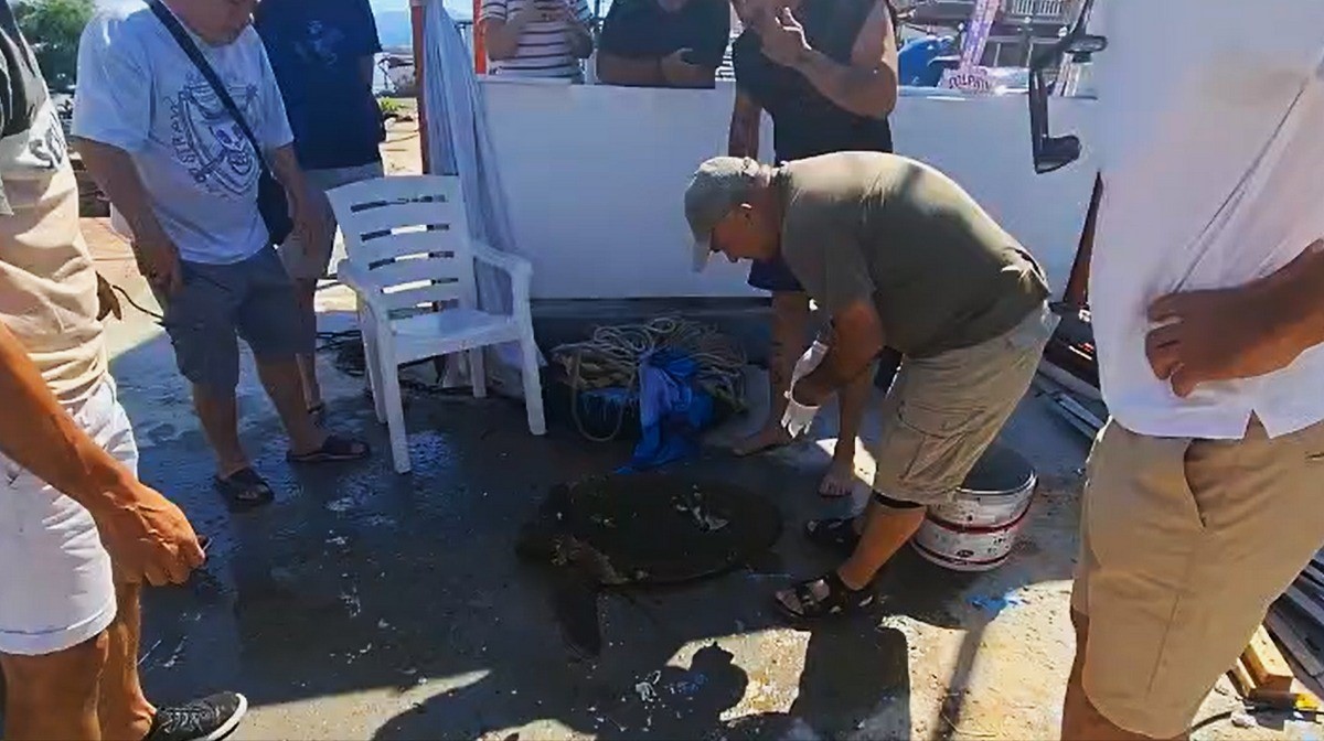 Yaralı Caretta caretta&rsquo;ya yardım eli uzandı