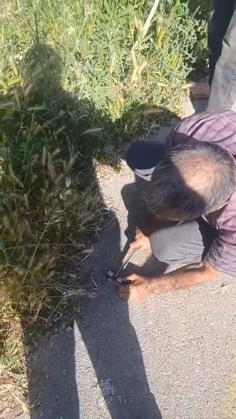 Tren &ccedil;arpması sonucu raylara sıkışan ineğin telef olmaması i&ccedil;in saniyelerle yarıştılar