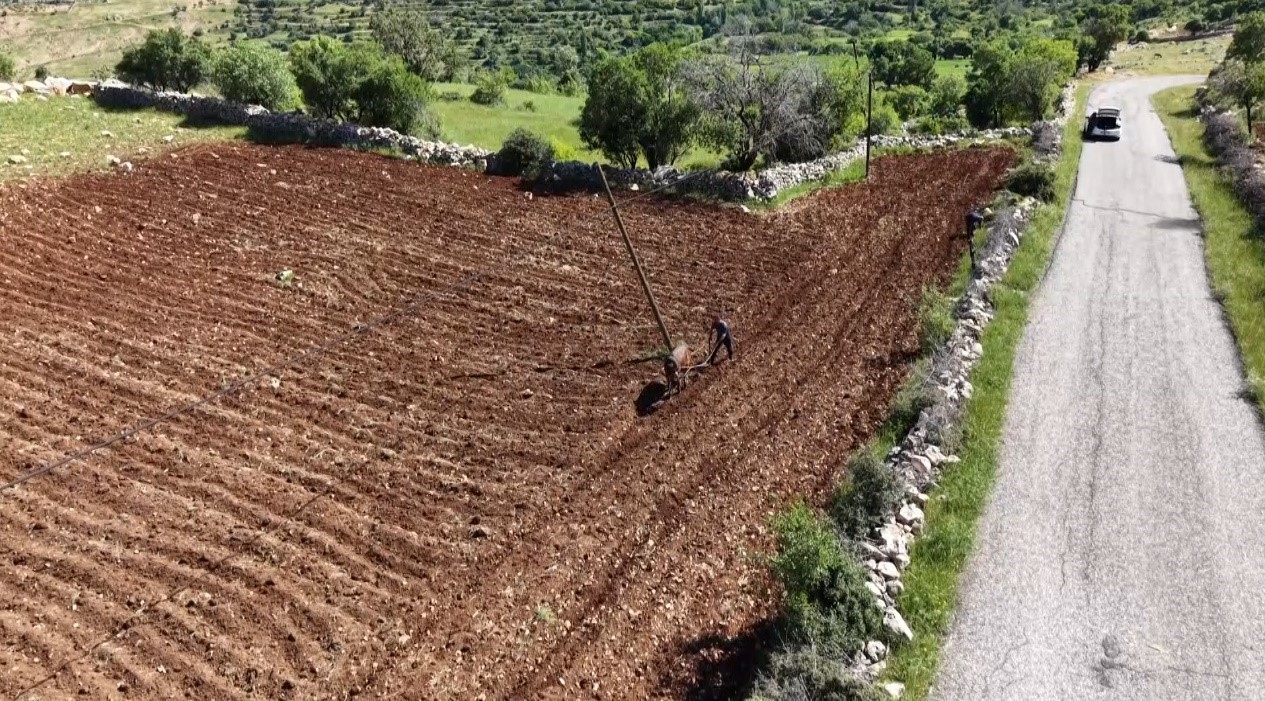 Gerc&uuml;ş&rsquo;te bahar mesaisi: Şafak vaktiyle &ccedil;ift&ccedil;iler tarlalara akın ediyor