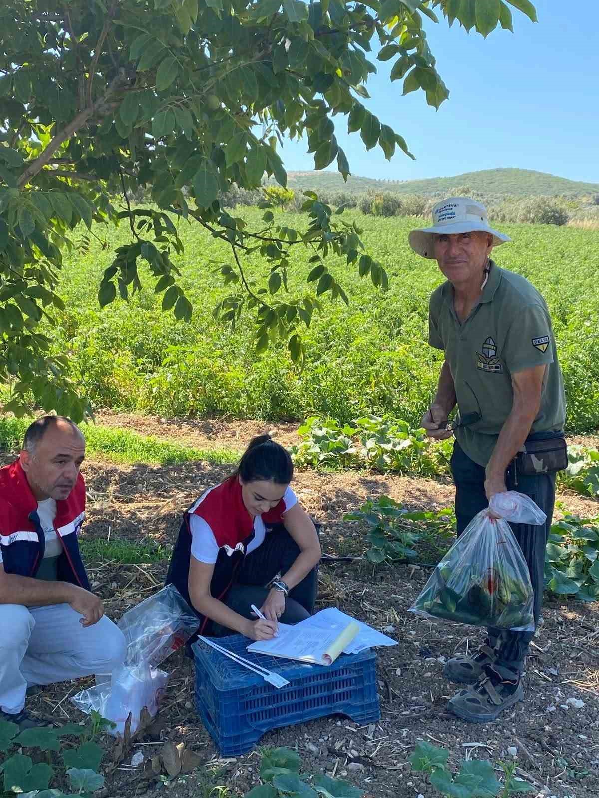 Didim&rsquo;de salatalıklardan numuneler alındı