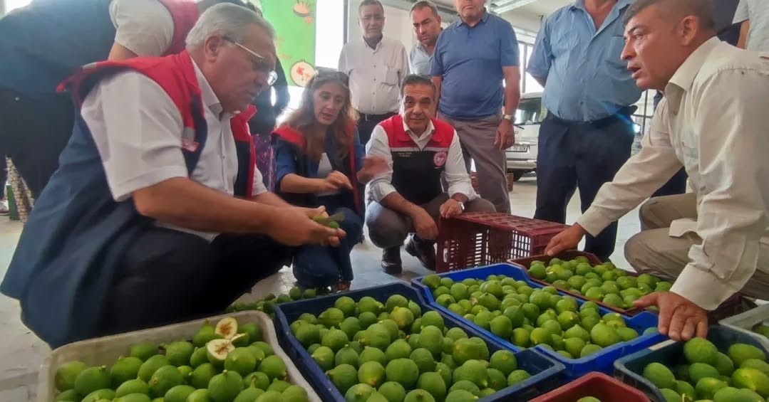 Buharkent&rsquo;te ilekler, tezgahta incelendi