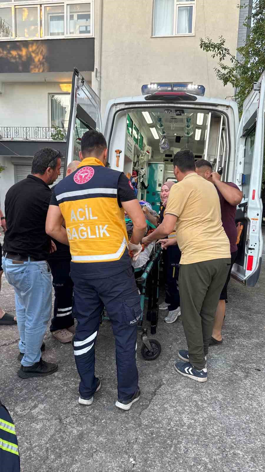 Dut toplarken ağa&ccedil;tan d&uuml;ş&uuml;p yaralandı