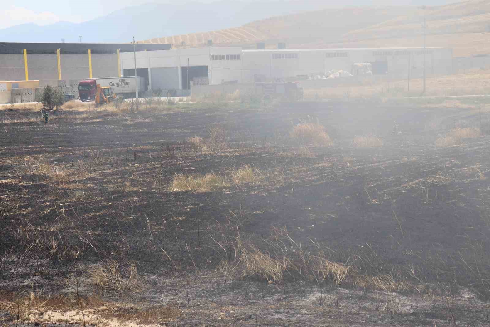Beyaz eşya y&uuml;kl&uuml; tırda &ccedil;ıkan yangın tahıl tarlalarına sı&ccedil;radı