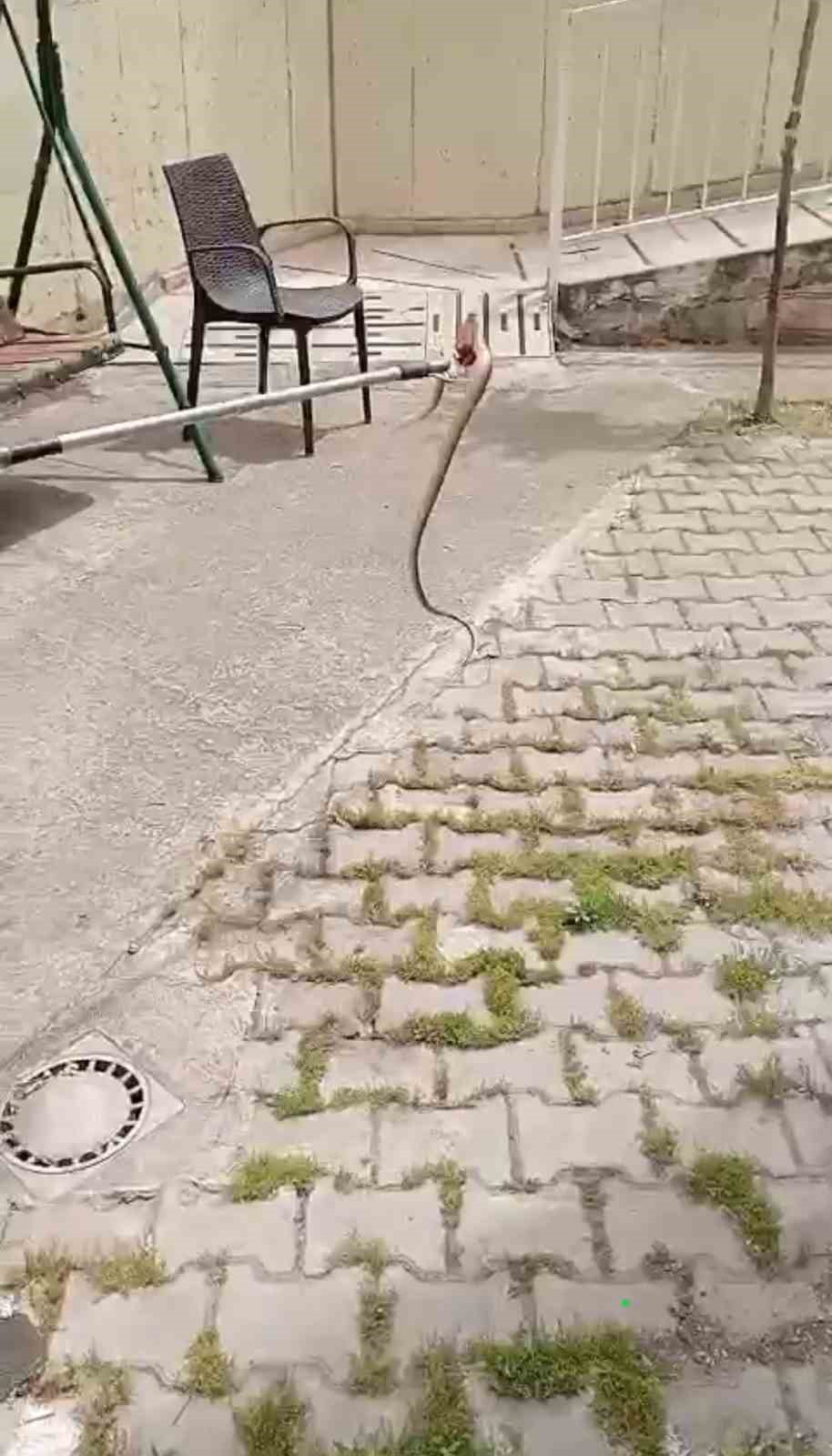 Yerleşim alanlarında g&ouml;r&uuml;len yılanlar itfaiyeyi harekete ge&ccedil;irdi